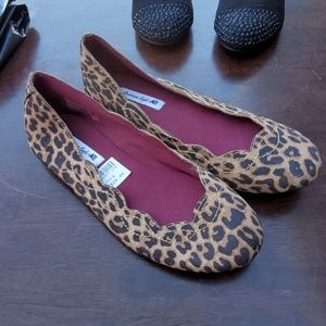 American eagle flats